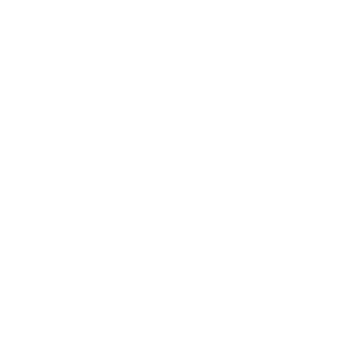 icon parquet